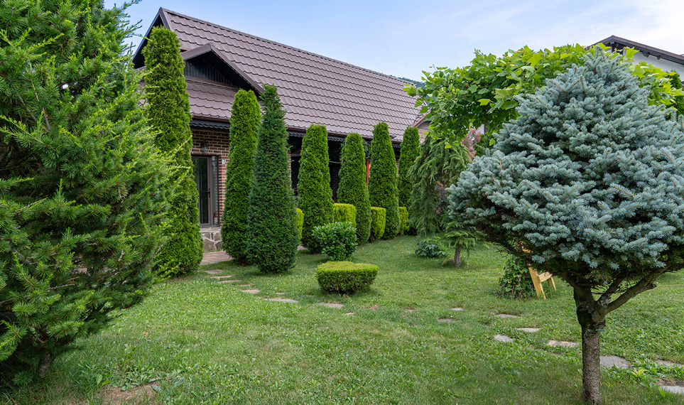 Green Vega Lepsa Vrancea